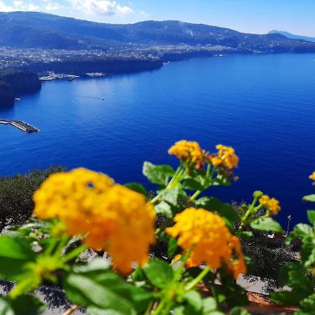 Апартаменти Bella Vista House-Sorrento Coast - Free Parking-Solarium Віко-Екуенсе Екстер'єр фото