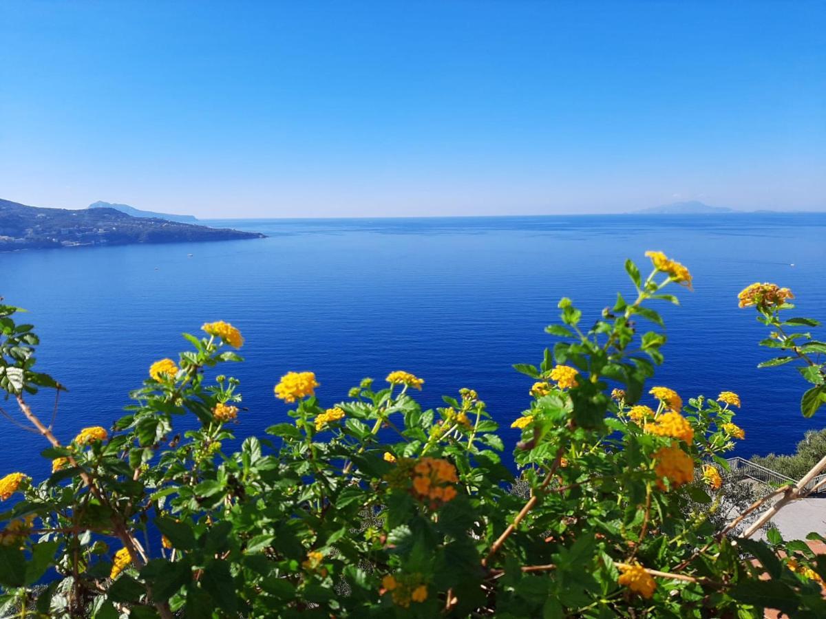 Апартаменти Bella Vista House-Sorrento Coast - Free Parking-Solarium Віко-Екуенсе Екстер'єр фото