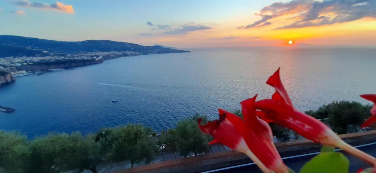 Апартаменти Bella Vista House-Sorrento Coast - Free Parking-Solarium Віко-Екуенсе Екстер'єр фото